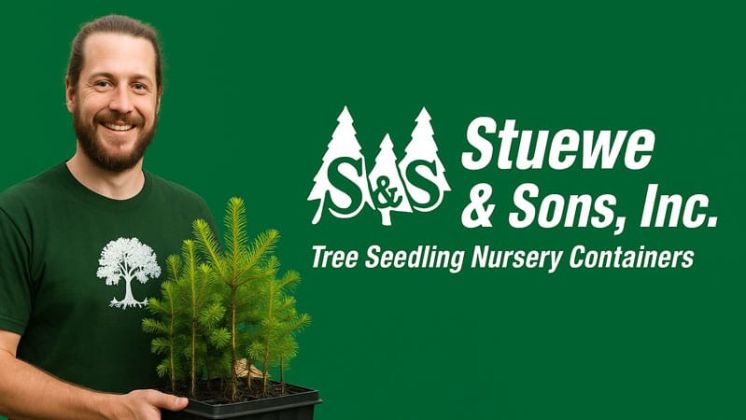 Stuewe and Sons