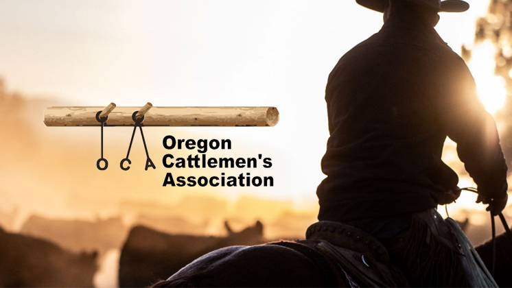 Oregon Cattlemen's Association case study