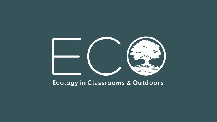 Ecology in Classrooms & Outdoors case study